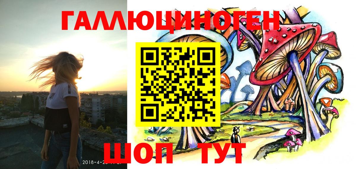 Галлюциногенные грибы Psilocybine cubensis Сибай
