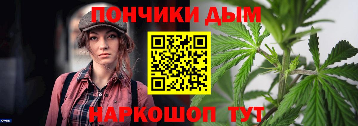 Каннабис план Сибай